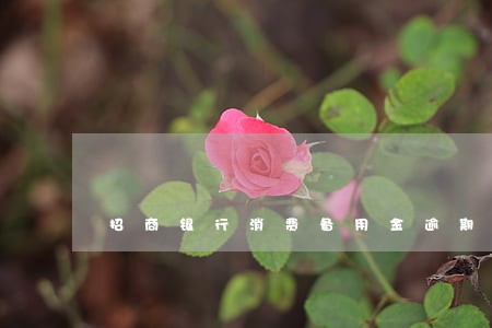 招商银行消费备用金逾期 招商银行消费备用金逾期