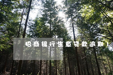招商银行生意贷款逾期1天 招商银行生意贷款逾期1天
