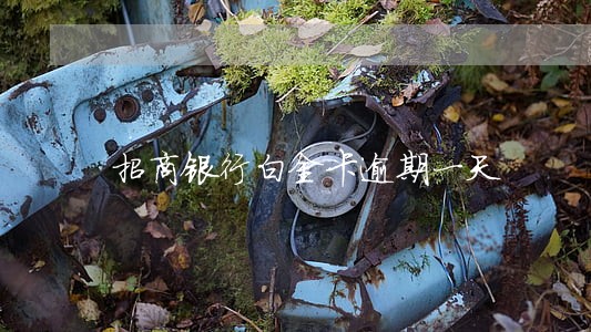 招商银行白金卡逾期一天 招商银行白金卡逾期一天