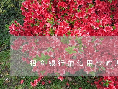 招商银行的信用卡逾期利息怎样 招商银行的信用卡逾期利息怎样