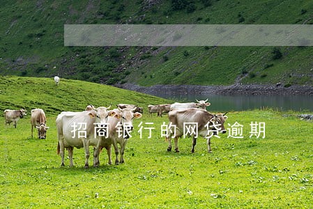 招商银行的网贷逾期 招商银行的网贷逾期