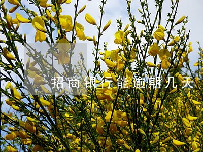 招商银行能逾期几天 招商银行能逾期几天