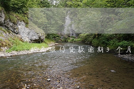 招商银行贷款逾期3个月 招商银行贷款逾期3个月