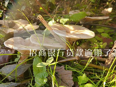招商银行贷款逾期了怎么办 招商银行贷款逾期了怎么办