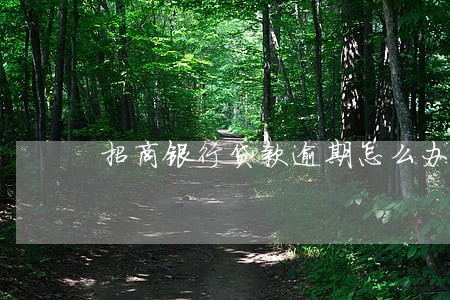 招商银行贷款逾期怎么办 招商银行贷款逾期怎么办