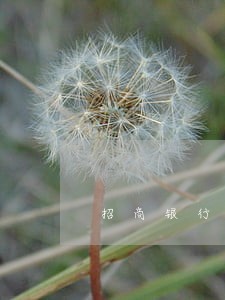 招商银行还完最低还款算逾期吗 招商银行还完最低还款算逾期吗