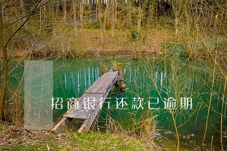招商银行还款已逾期 招商银行还款已逾期