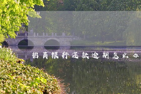 招商银行还款逾期怎么办 招商银行还款逾期怎么办