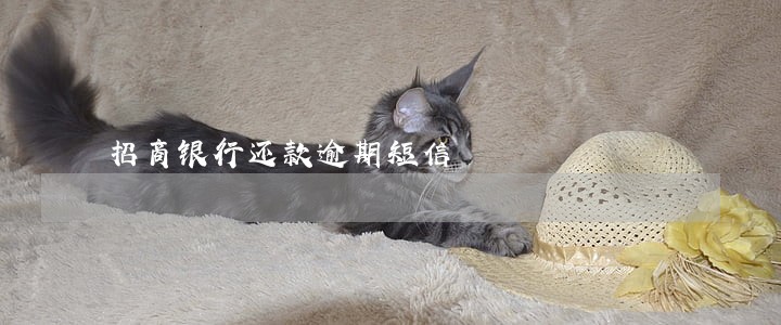 招商银行还款逾期短信 招商银行还款逾期短信