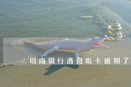 招商银行透资啦卡逾期了怎么办 招商银行透资啦卡逾期了怎么办