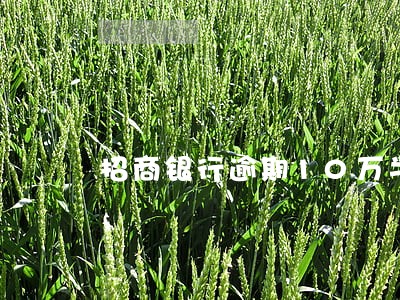 招商银行逾期10万半年 招商银行逾期10万半年