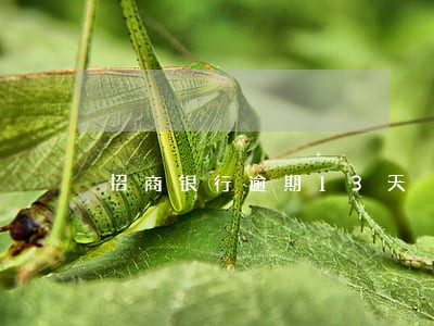 招商银行逾期13天 招商银行逾期13天