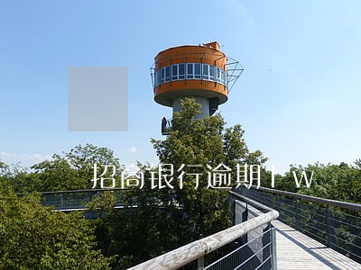 招商银行逾期1w 招商银行逾期1w