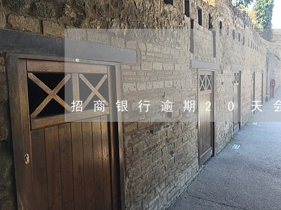 招商银行逾期20天会停卡吗 招商银行逾期20天会停卡吗