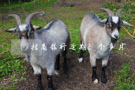 招商银行逾期2个多月 招商银行逾期2个多月