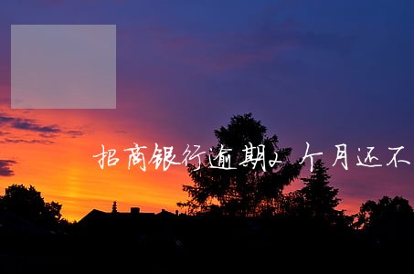招商银行逾期2个月还不上征信 招商银行逾期2个月还不上征信