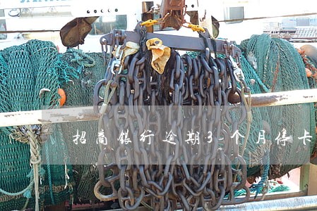 招商银行逾期3个月停卡 招商银行逾期3个月停卡