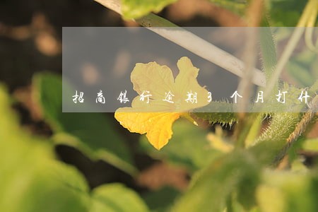 招商银行逾期3个月打什么电话 招商银行逾期3个月打什么电话