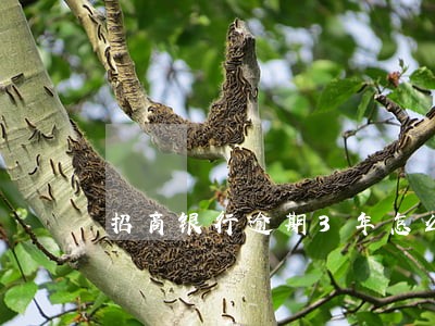 招商银行逾期3年怎么调解 招商银行逾期3年怎么调解