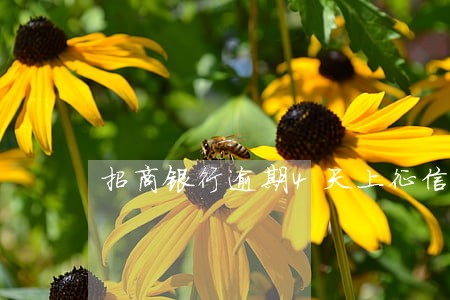 招商银行逾期4天上征信 招商银行逾期4天上征信