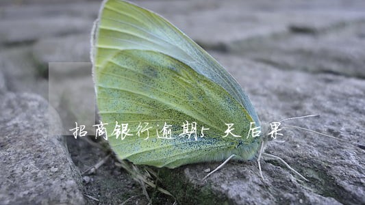 招商银行逾期5天后果 招商银行逾期5天后果