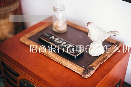 招商银行逾期6万怎么协商 招商银行逾期6万怎么协商