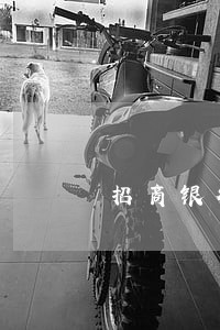 招商银行逾期6个月卡还能用吗