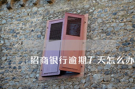 招商银行逾期7天怎么办