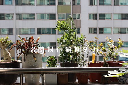 招商银行逾期9万 招商银行逾期9万