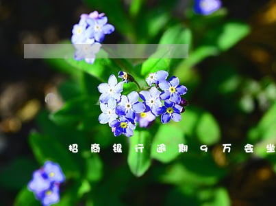 招商银行逾期9万会坐牢吗 招商银行逾期9万会坐牢吗