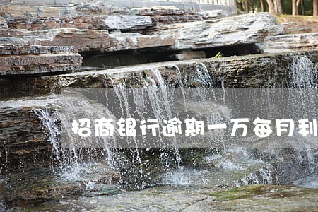招商银行逾期一万每月利息 招商银行逾期一万每月利息