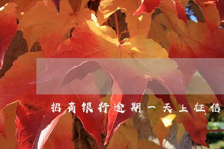 招商银行逾期一天上征信不 招商银行逾期一天上征信不