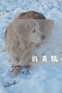 招商银行逾期一天怎么办 招商银行逾期一天怎么办