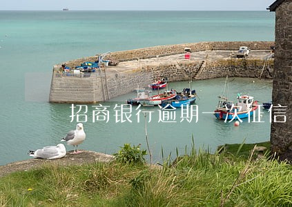 招商银行逾期一次征信 招商银行逾期一次征信