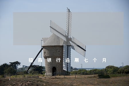 招商银行逾期七个月