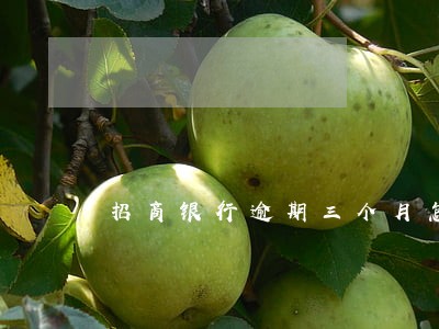 招商银行逾期三个月怎么办 招商银行逾期三个月怎么办
