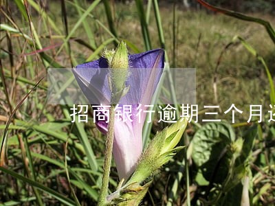 招商银行逾期三个月还款 招商银行逾期三个月还款