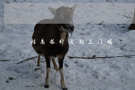 招商银行逾期上门吗 招商银行逾期上门吗