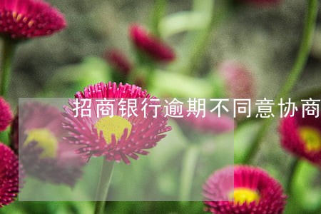 招商银行逾期不同意协商 招商银行逾期不同意协商