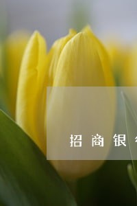 招商银行逾期不超5万 招商银行逾期不超5万
