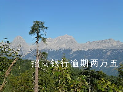 招商银行逾期两万五 招商银行逾期两万五