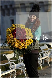 招商银行逾期两个月冻结卡片 招商银行逾期两个月冻结卡片