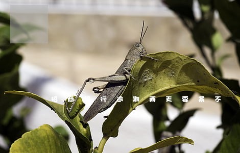 招商银行逾期两天要紧不 招商银行逾期两天要紧不