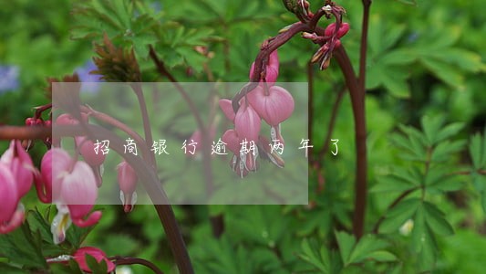 招商银行逾期两年了