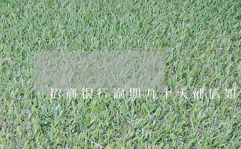 招商银行逾期九十天征信如何消除 招商银行逾期九十天征信如何消除