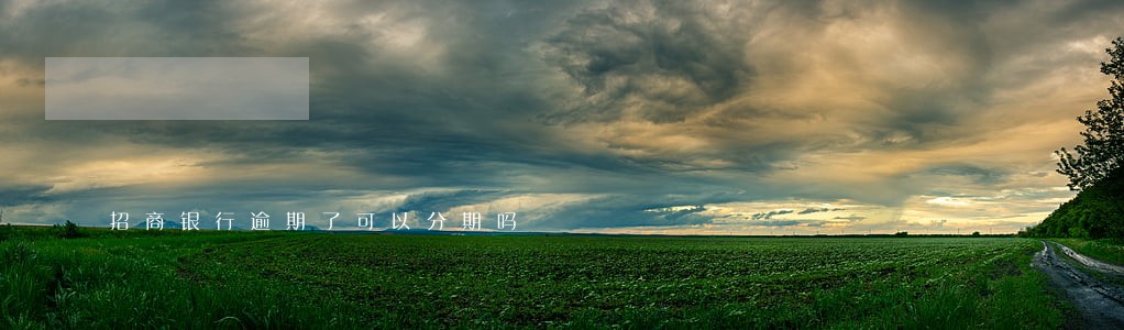 招商银行逾期了可以分期吗