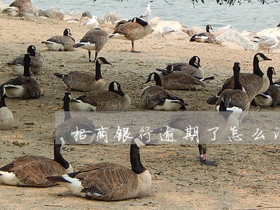 招商银行逾期了怎么消除 招商银行逾期了怎么消除