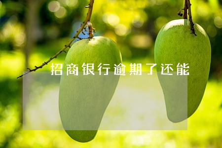 招商银行逾期了还能 招商银行逾期了还能