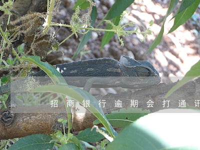 招商银行逾期会打通讯录吗 招商银行逾期会打通讯录吗