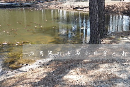 招商银行逾期会给家人打电话吗 招商银行逾期会给家人打电话吗